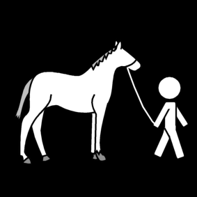 paard uitlaten / wandelen met paard